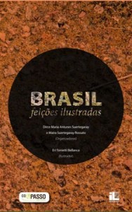 Brasil Feições Ilustradas